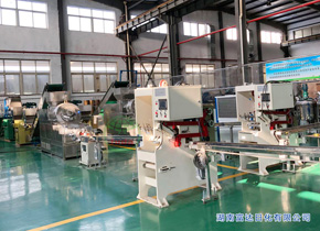 油脂皂化、肥皂成套生產(chǎn)線 FZ-2000